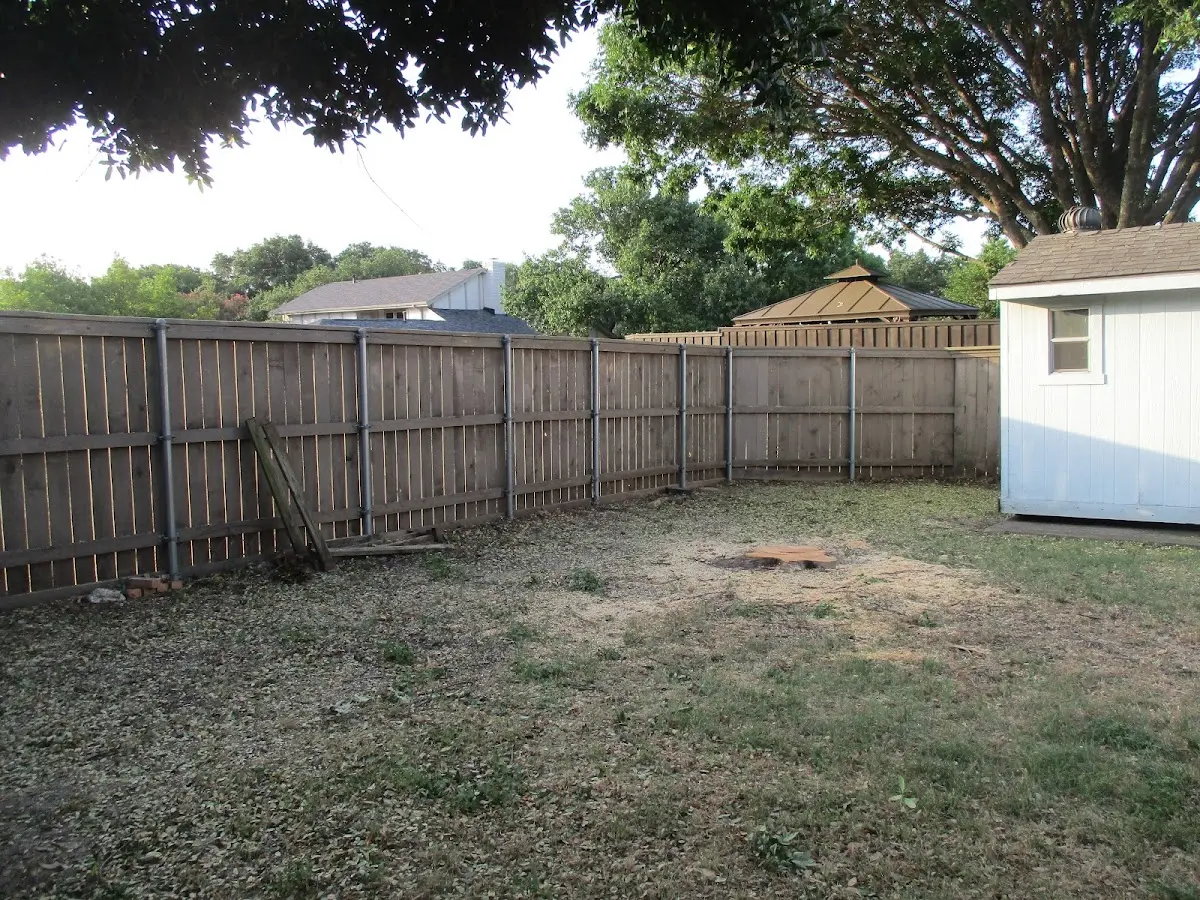 Cleared yard after professional tree removal in Highland Park